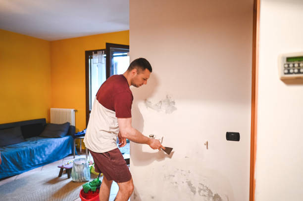 Best Commercial Mold Remediation in Kalispell, MT
